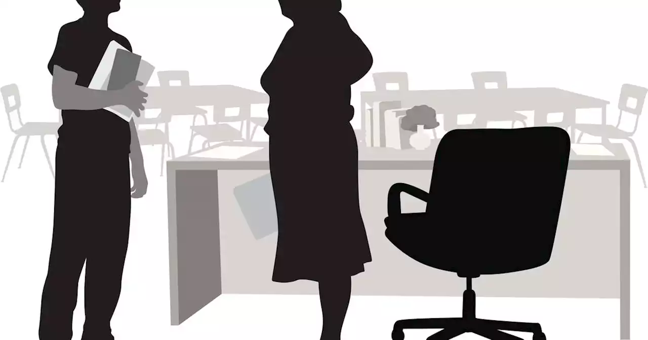 The Secret Teacher: Few principals have the training and experience required to manage a large organisation