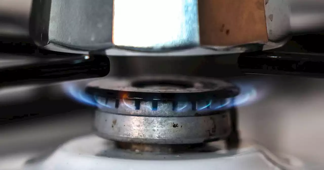 EU’s energy exchanges warn gas price cap will backfire