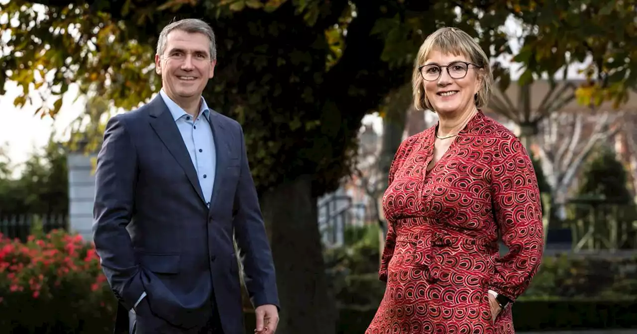 Irish companies hit new highs on board gender balance