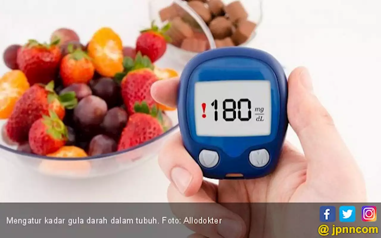 3 Menu Sarapan Vegan yang Aman Dikonsumsi Penderita Diabetes