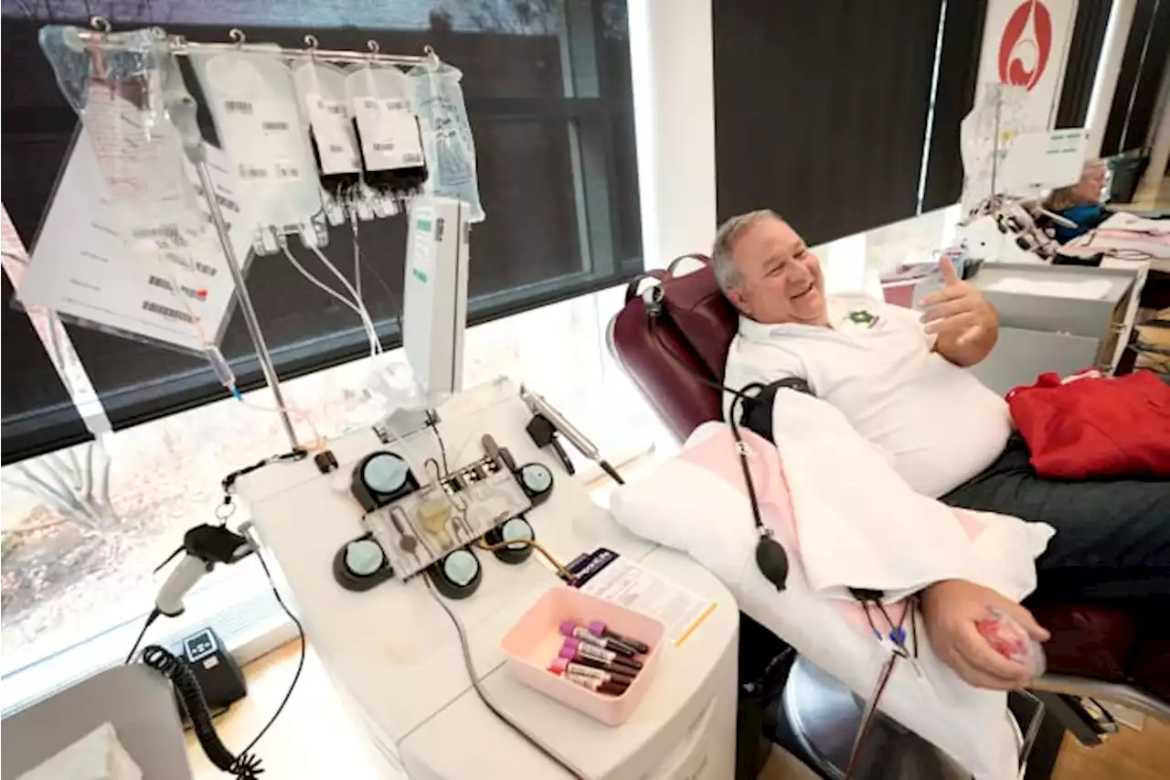 No more mad cow worries, banned blood donors can give again