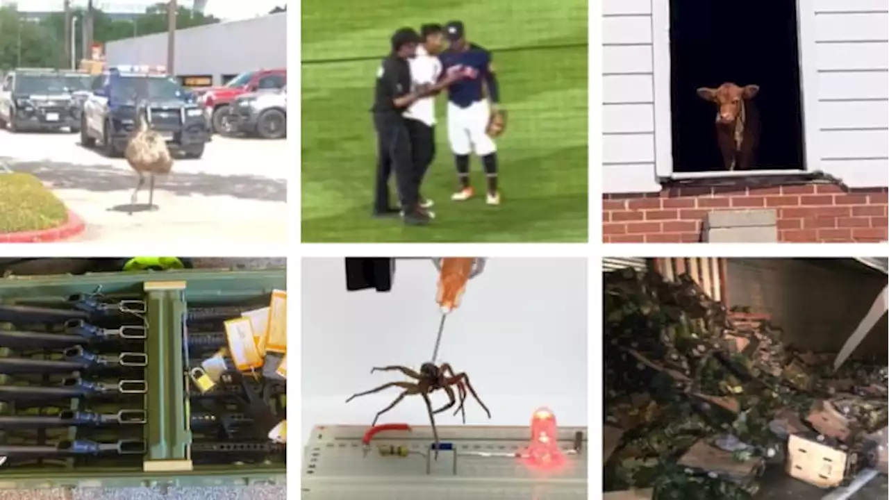 🔒This year in odd news: The weirdest headlines from the Houston area in 2022