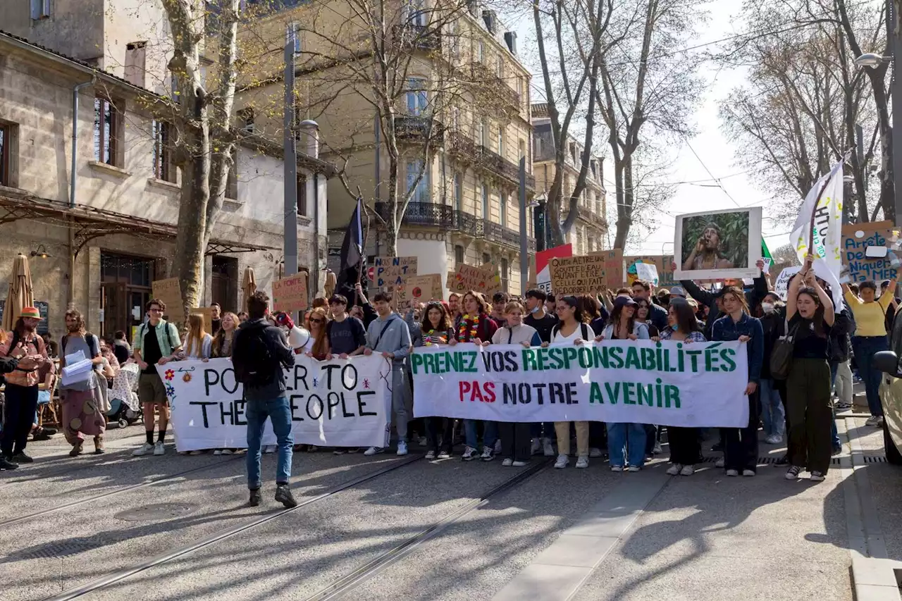 La transition écologique devient-elle un axe incontournable pour les jeunes et leurs enseignants ?