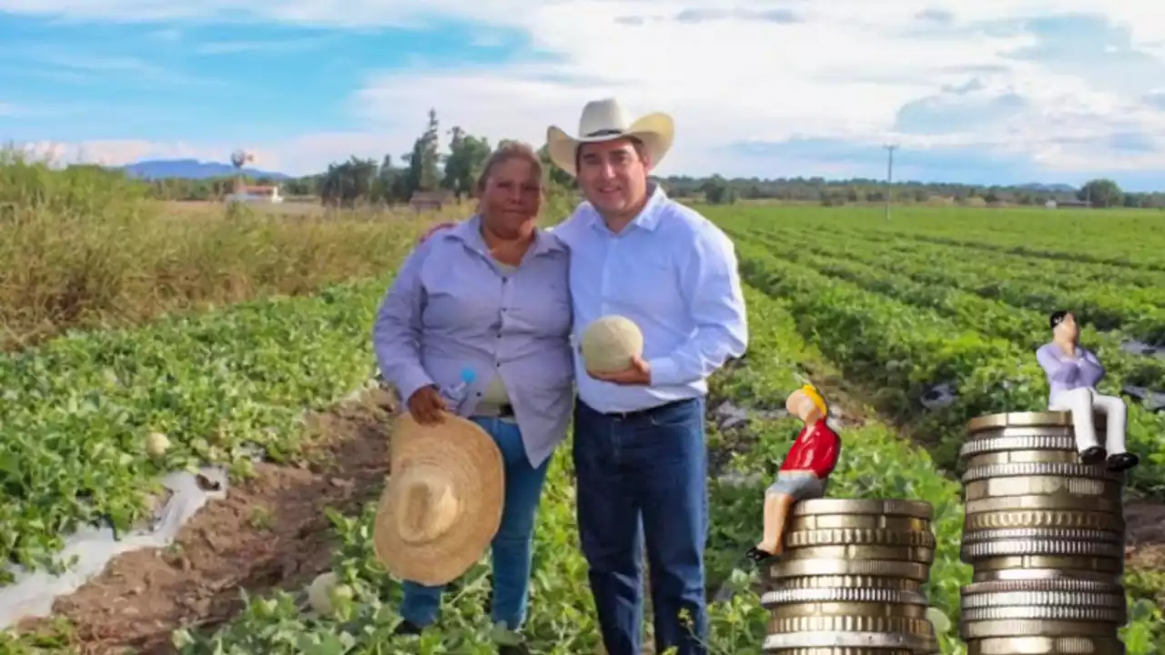 Cambiarán que mujer campesina gane menos que hombres por no tener misma fuerza: Sedagroh