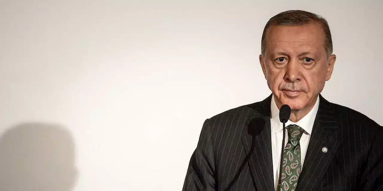 Erdogan pourrait envoyer des troupes terrestres en Syrie