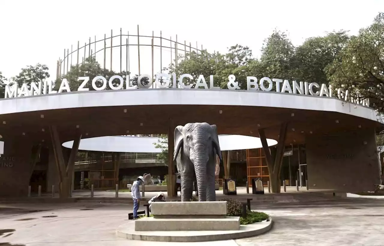 Manila Zoo fully reopens today