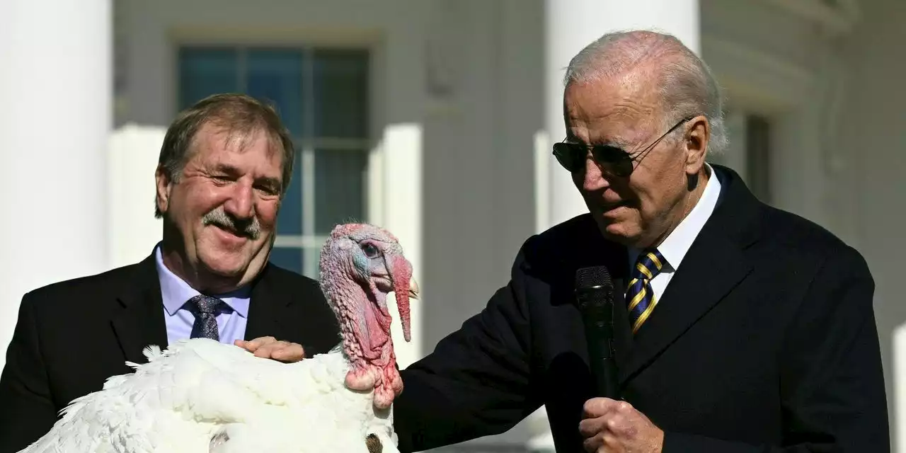 Watch Biden pardon Thanksgiving turkeys Chocolate and Chip