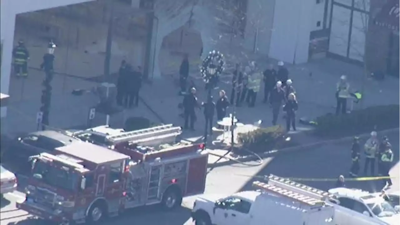 1 dead, 16 hurt as car crashes into Mass. Apple store