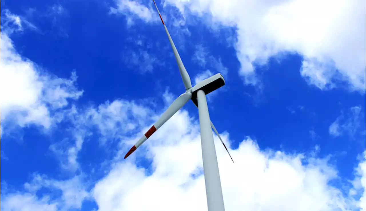 Egypt to start building $11bln wind farm from 2024