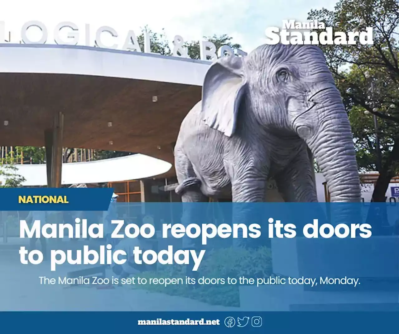 Manila Zoo reopens its doors to public today