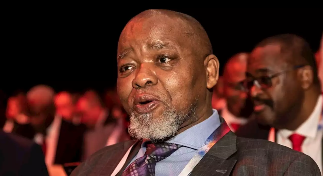 Mantashe invites proposals for seismic data collection off the coast of SA | Fin24