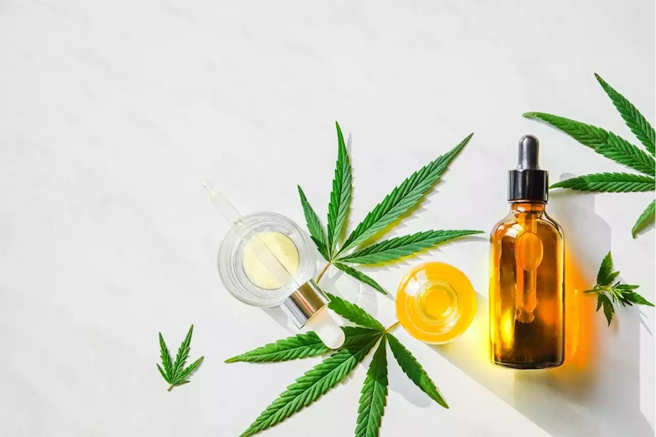 Does CBD mitigate harms of cannabis?