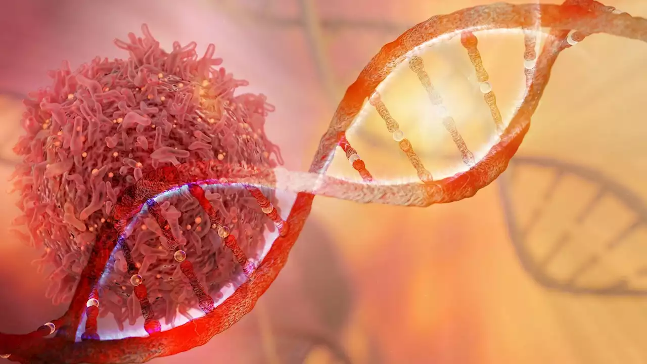 Evaluating cell-free DNA-based blood tests for early detection of multiple cancers