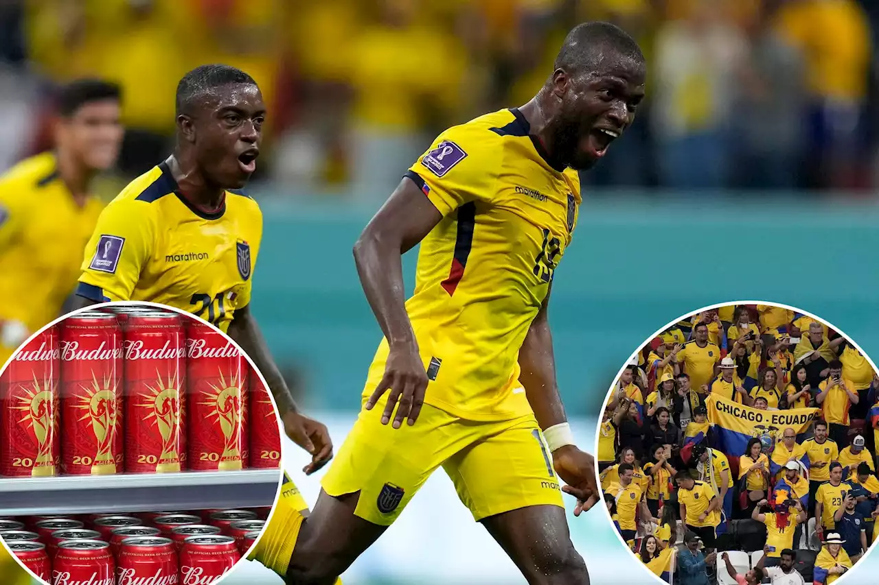 Ecuador fans chant ‘we want beer’ during World Cup match against Qatar