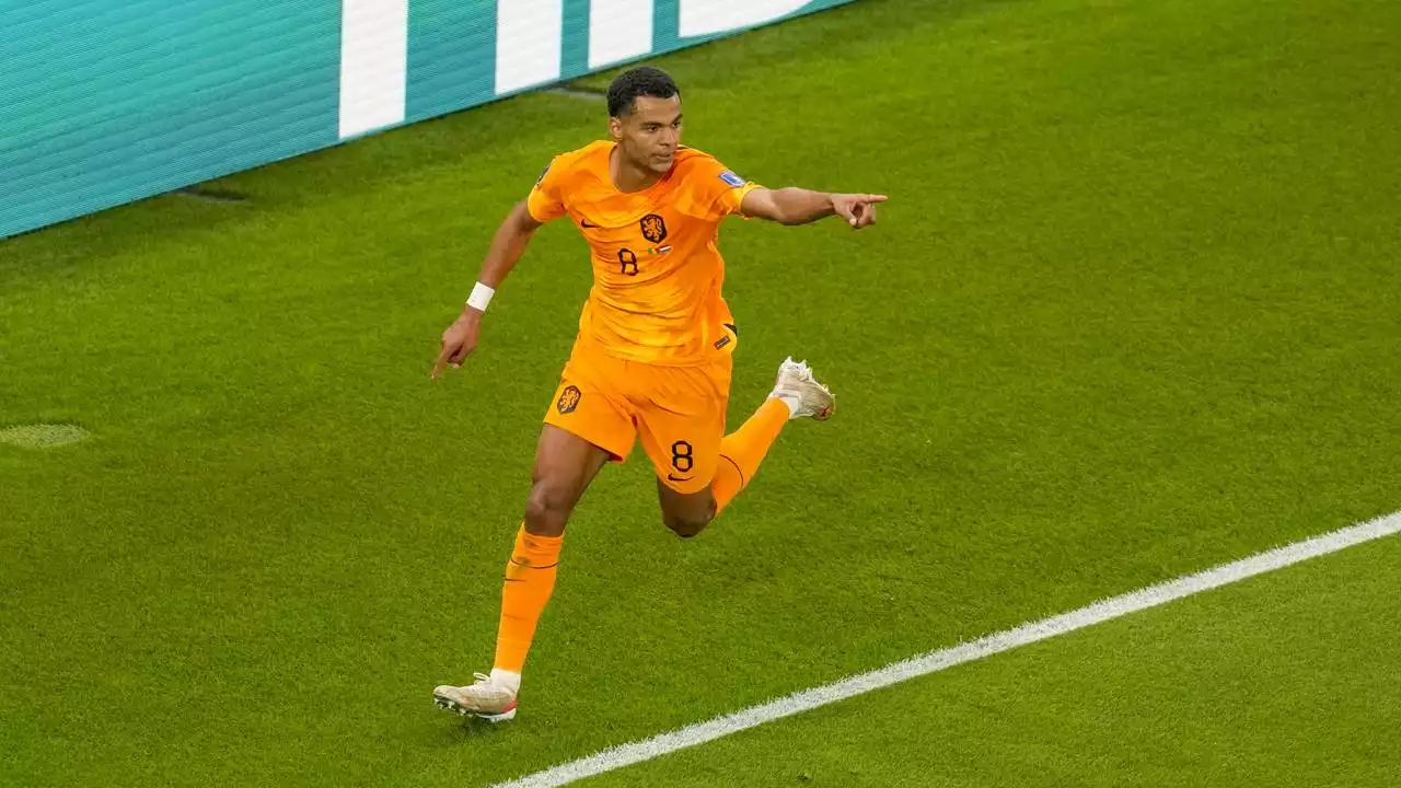 Cody Gakpo maakt eerste Oranjegoal in Qatar, PSV wrijft in zijn handen