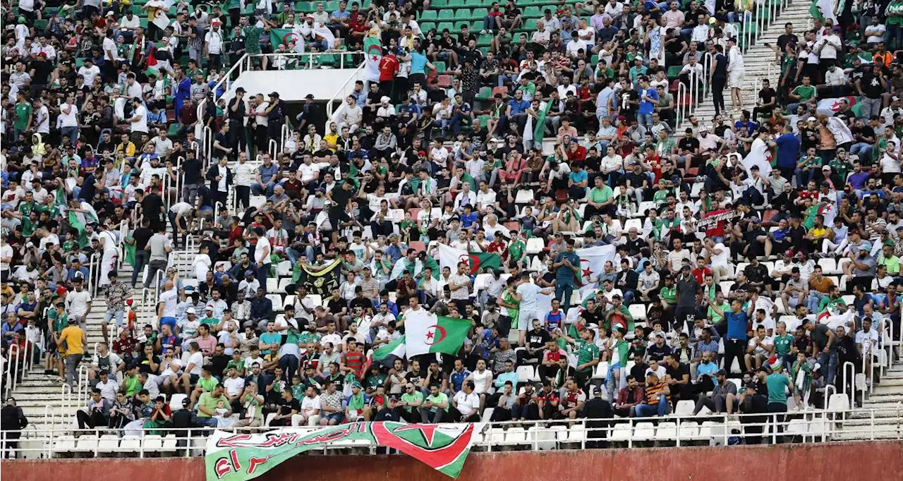 Coupe du monde : des supporters de l'Algérie mettent l'ambiance au Qatar !