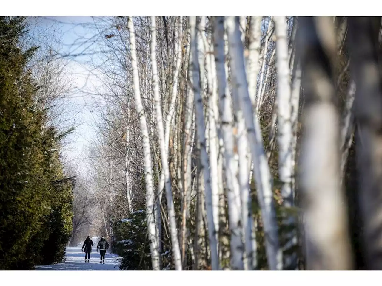 More flurries in forecast for Monday after weekend winter blast