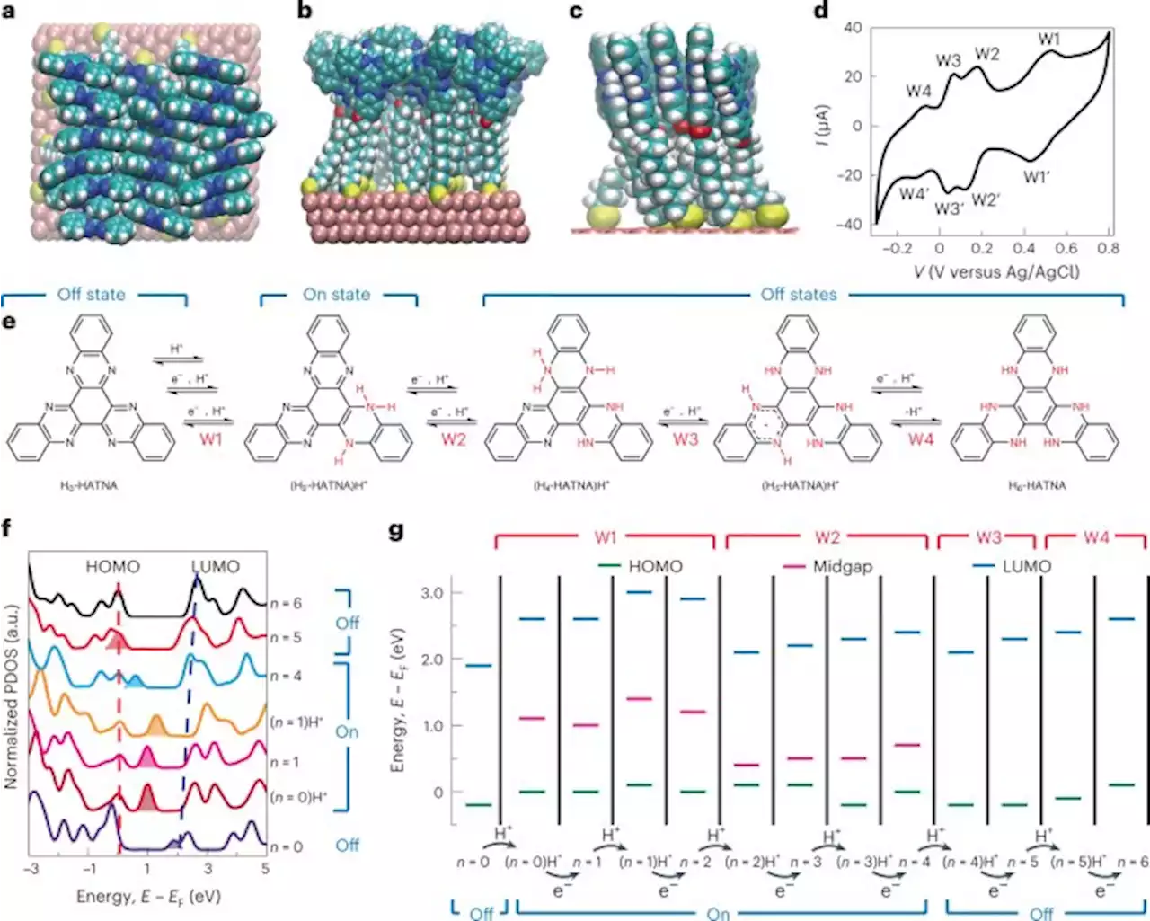 Discovery reveals 'brain-like computing' at molecular level is possible