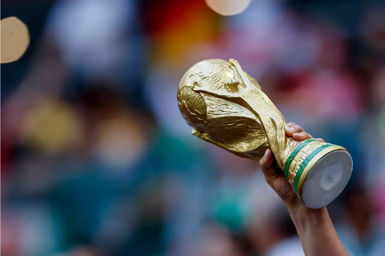 World Cup 2022 Live Stream: How to Watch the Soccer Tournament Online for Free