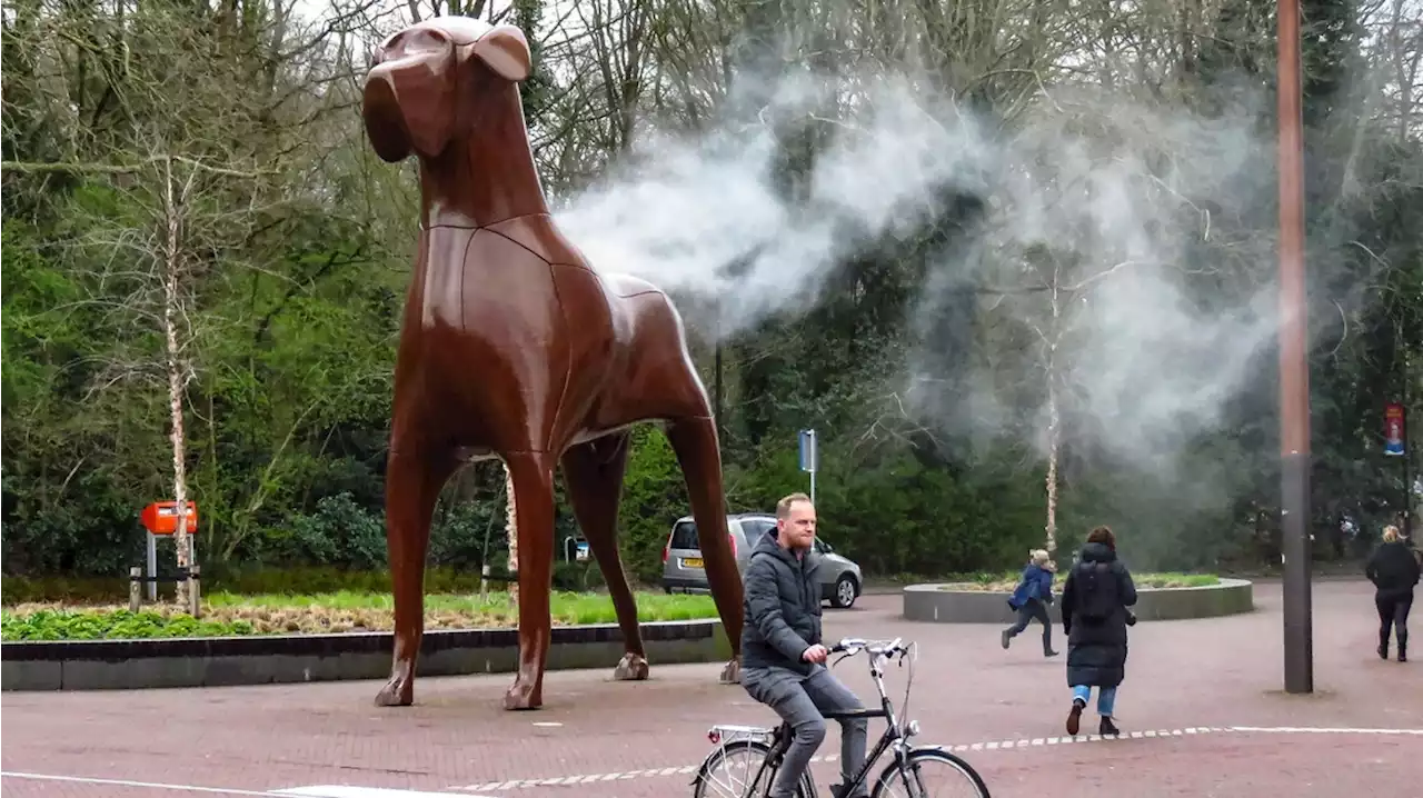 Nog steeds geen einde aan soap rondom Asser stationshond Mannes