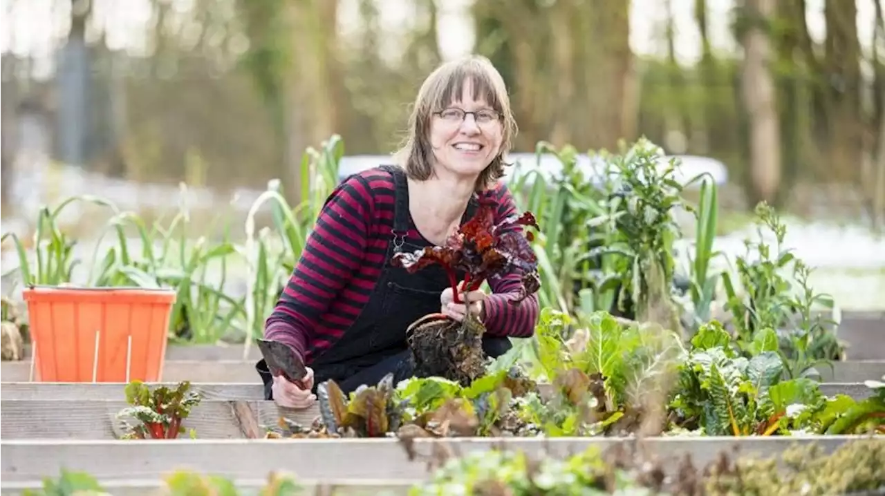 Renate Zuiker lijsttrekker Partij voor de Dieren Drenthe