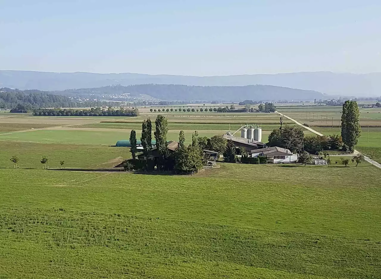 Bevölkerung gibt Bauern gute Noten - Schweizer Bauer