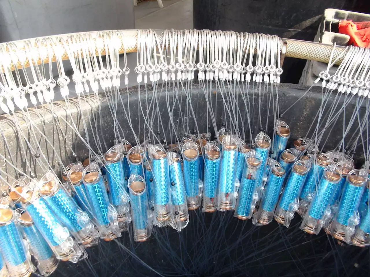 These devices use an electric field to scare sharks from fishing hooks