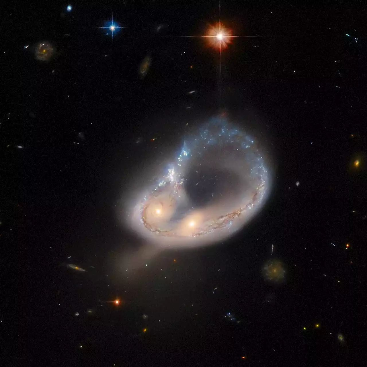 Hubble Hunts an Unusual Galaxy – Distorted by Gravity and Twisted Into a Colossal Ring