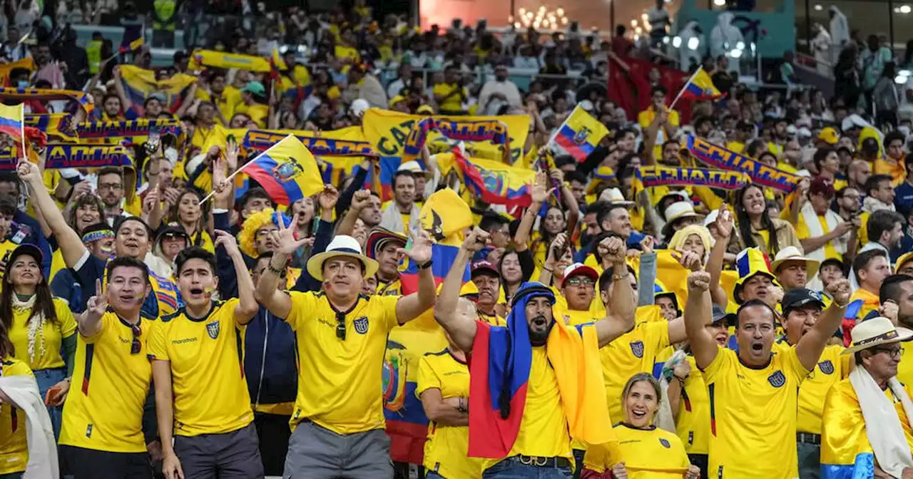 WM 2022: Ecuador-Fans fordern Bier - Spott für Alkoholverbot im Eröffnungsspiel gegen Katar