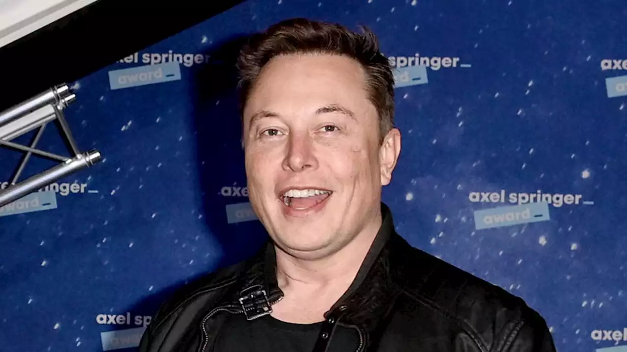 Elon Musk holt Verbannte zu Twitter zurück: Donald Trump, Kanye West und Andrew Tate wieder da