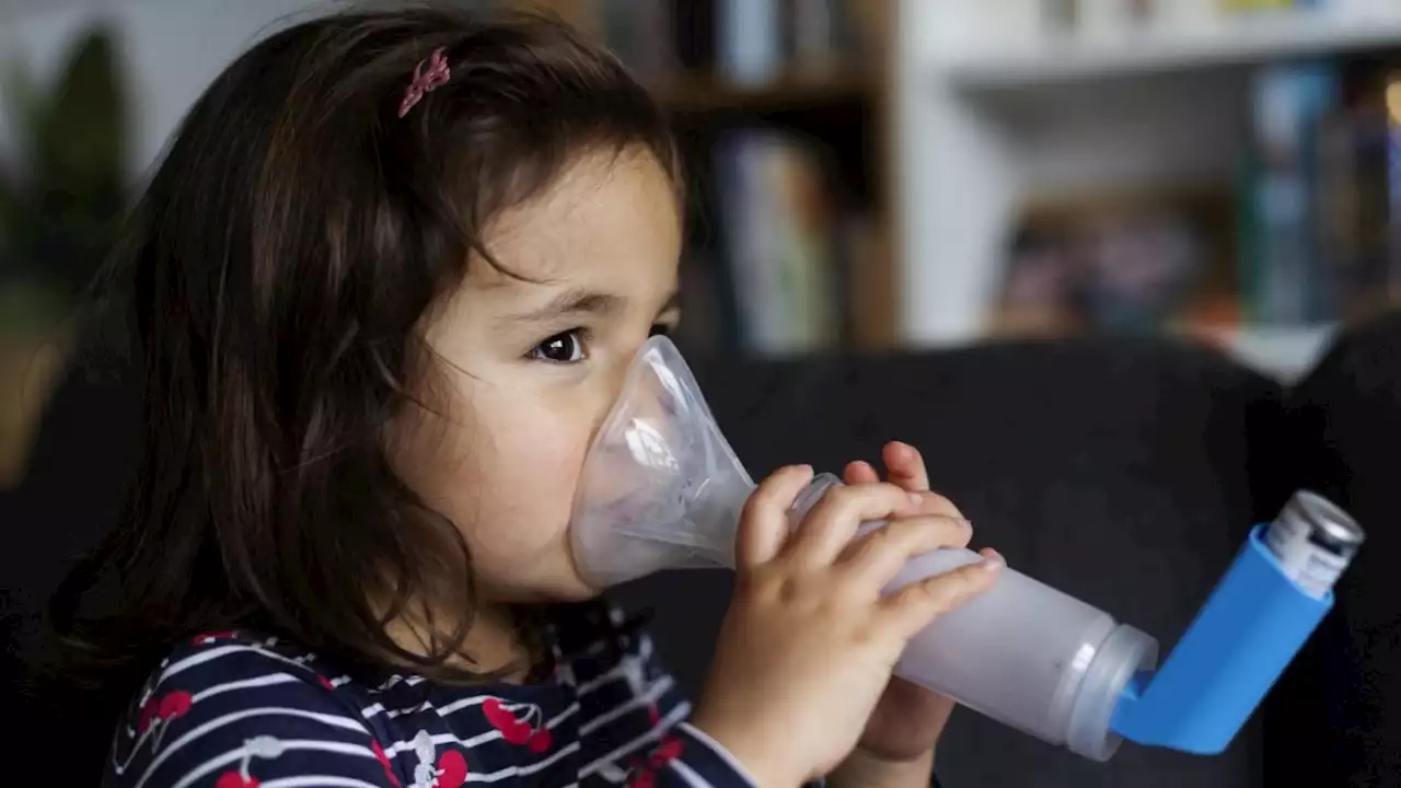 Asthma bei Kindern: Was die Pandemie über die Rolle von Viren verrät