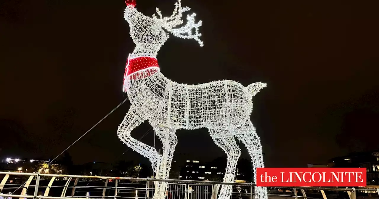 Oh deer! Lincoln Christmas reindeer has been damaged