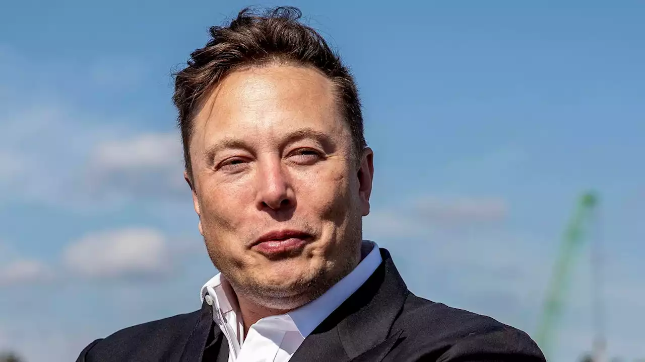 Elon Musk Criticized For Firing So Many Employees Rather Than Spending Decades Grinding Them Down