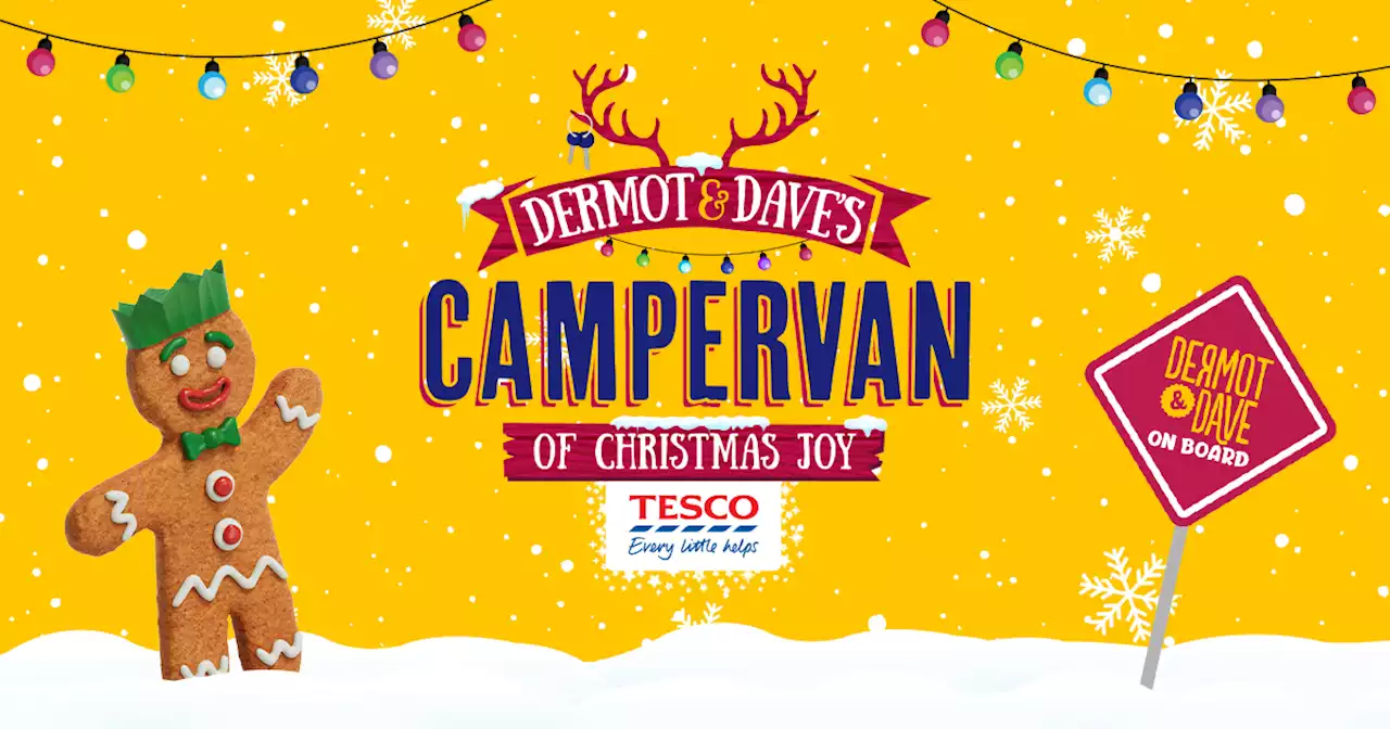 Dermot & Dave's Campervan of Christmas Joy