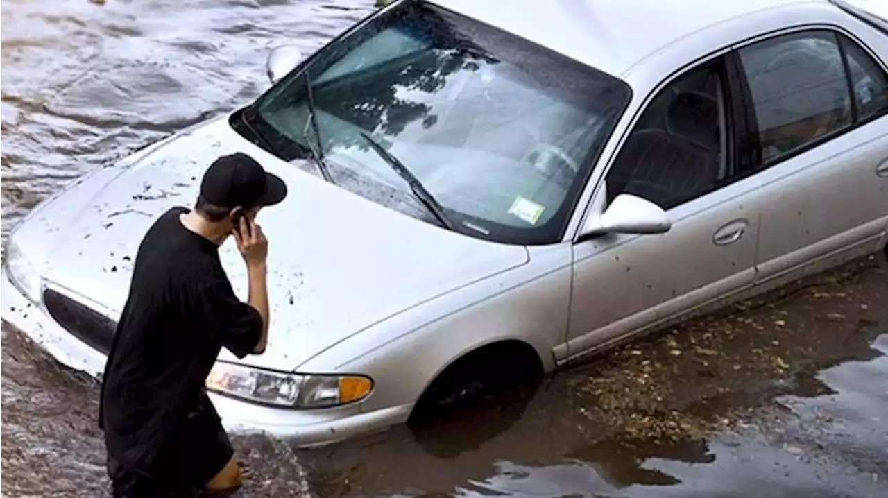 Agar Tak Kena Tipu Penjual, Kenali 5 Ciri-ciri Mobil Bekas Banjir sebelum Dibeli