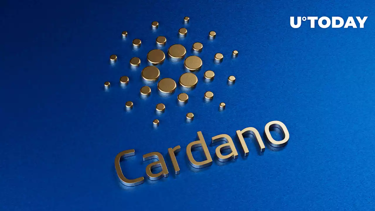 Cardano's Stablecoin Djed to Go Live in January 2023