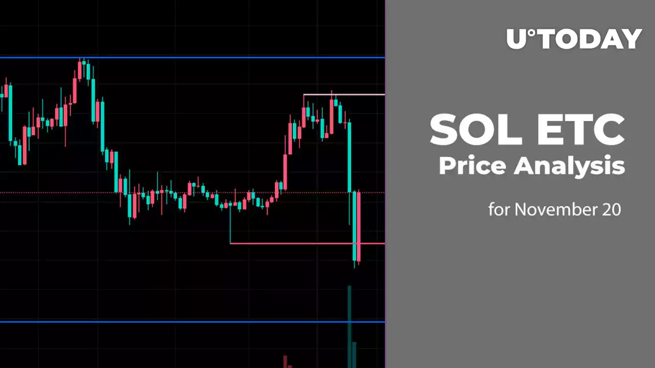 SOL and ETC Price Analysis for November 20