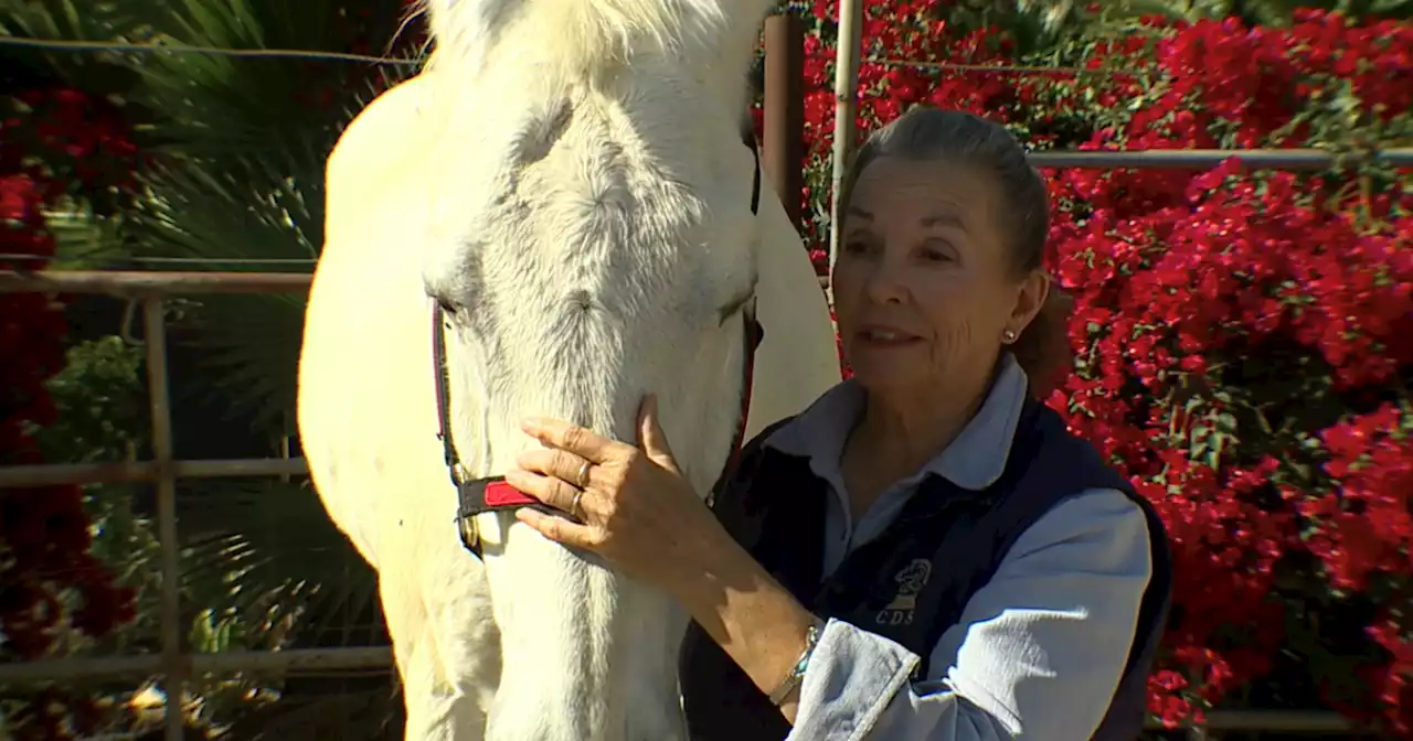 'I want to get it back': Woman's SUV used to haul therapy horse trailer stolen