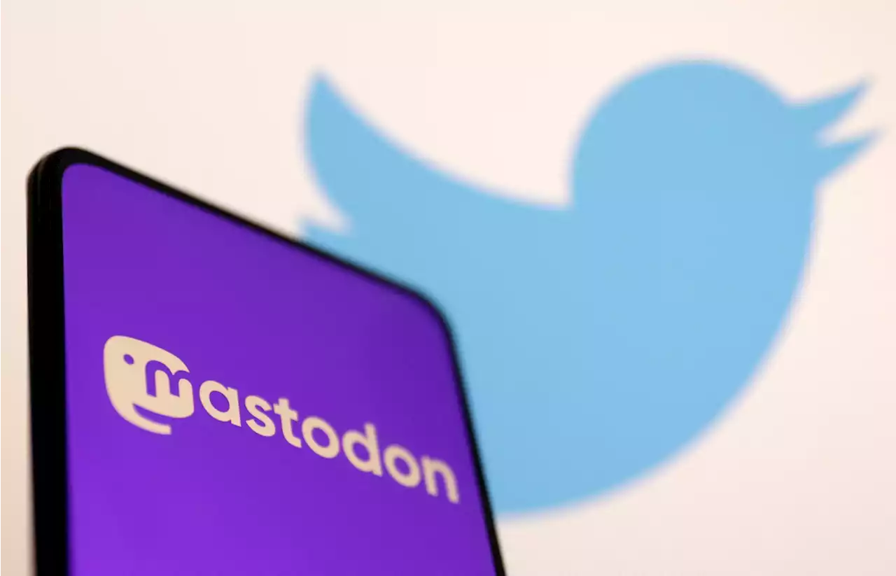 Angst vor Twitterkollaps – Schweizer Politiker entdecken Mastodon