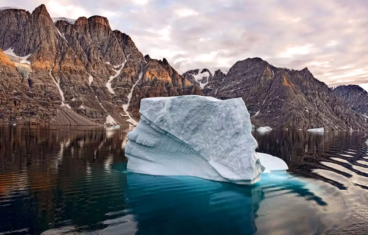 Une ONG crée un générateur de noms pour sensibiliser au climat