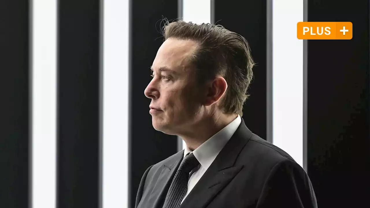 Elon Musk – wer kennt diesen Mann?