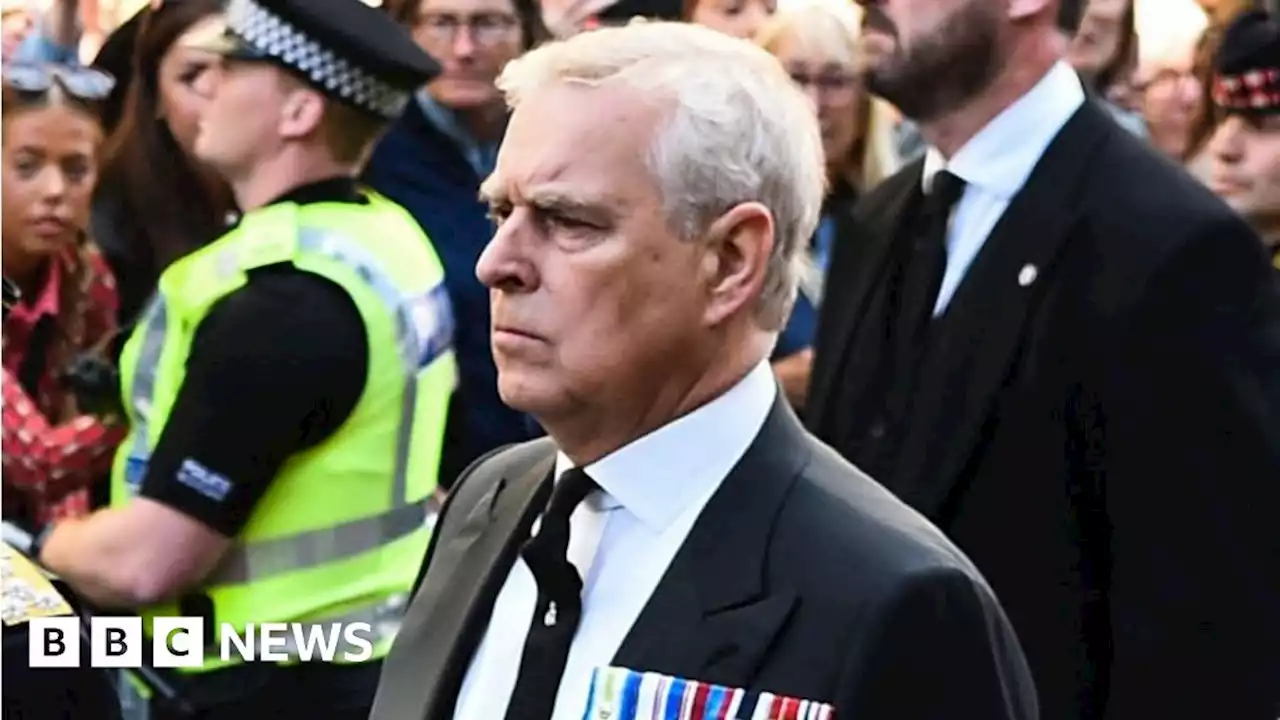 Prince Andrew heckler will not face court