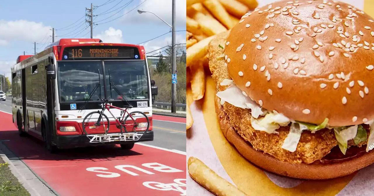 TTC rider shamed for demanding free bus ride right after buying McDonald's