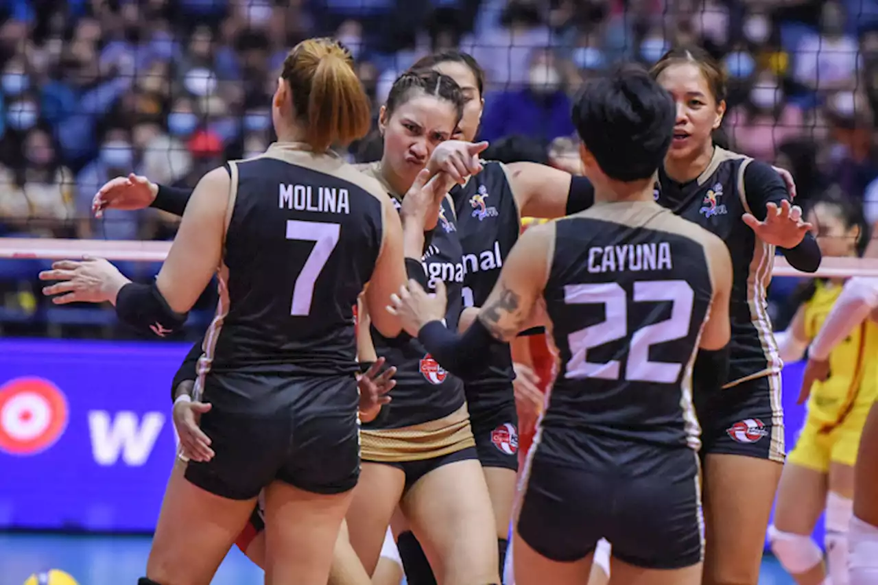 Good or bust for HD Spikers, Flying Titans in PVL Reinforced Conference - BusinessMirror