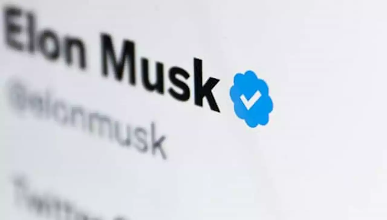 Neues Twitter-Häkchen auf Eis: Elon Musk will Fake-Accounts verhindern