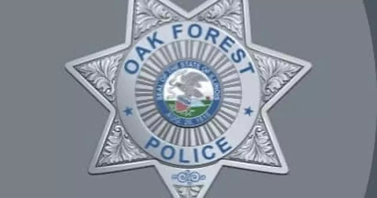 Guns and ammunition in law enforcement cars? Oak Forest recover stolen car minus 100 live rounds