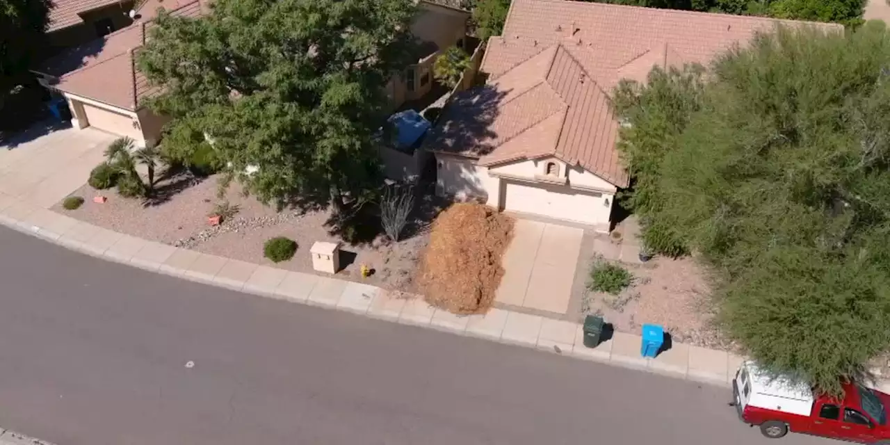 Phoenix homeowner finds over a ton of mulch dumped in her driveway