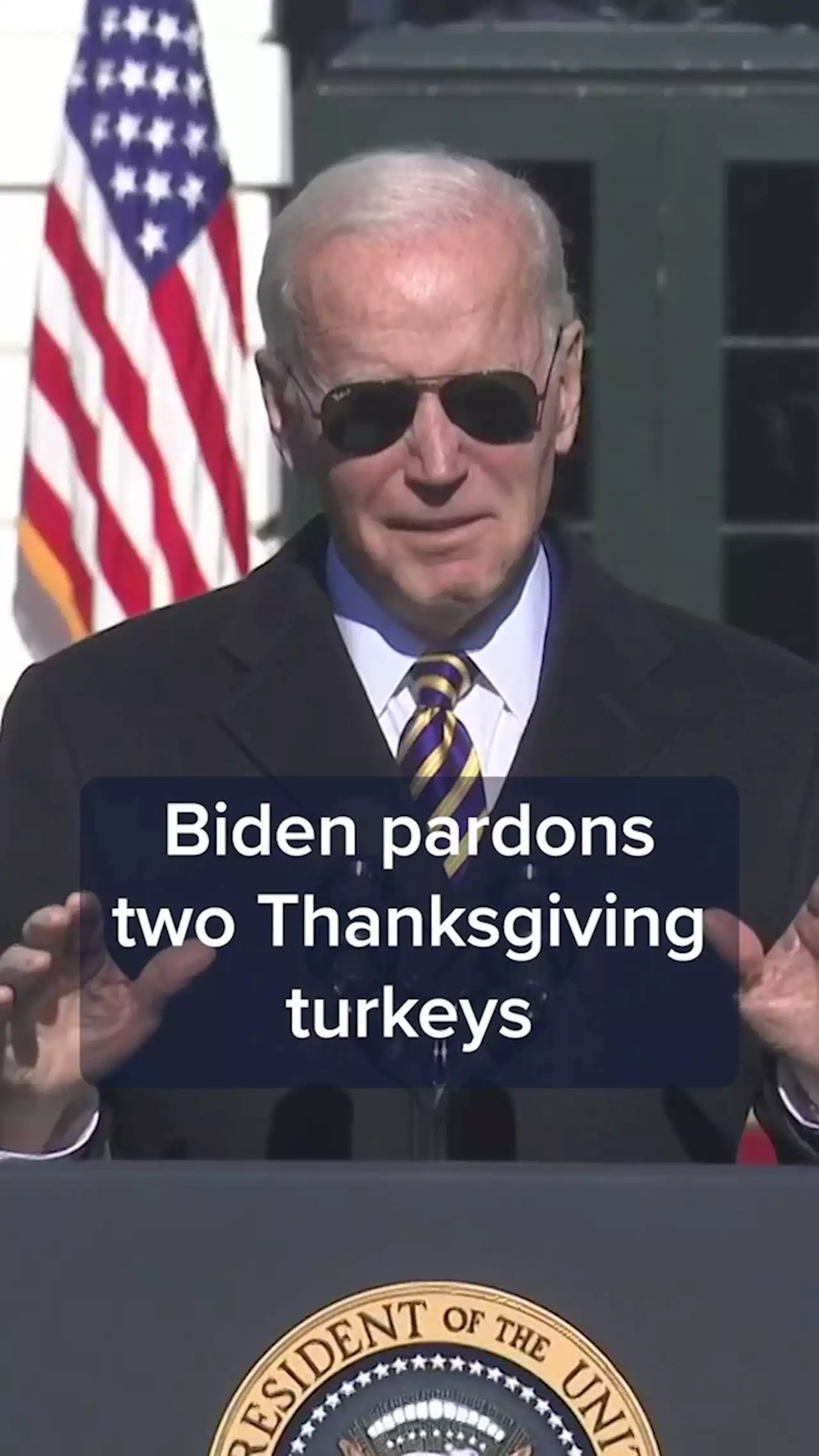 Biden pardons Thanksgiving turkeys, quips only 'red wave' will be spilled cranberry sauce — not Republican election wins