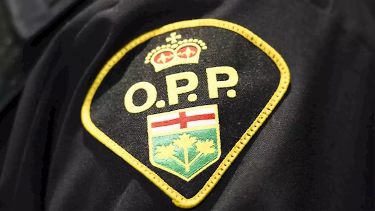 Driver, 64, charged after school bus drags child stuck in doors in Brant County