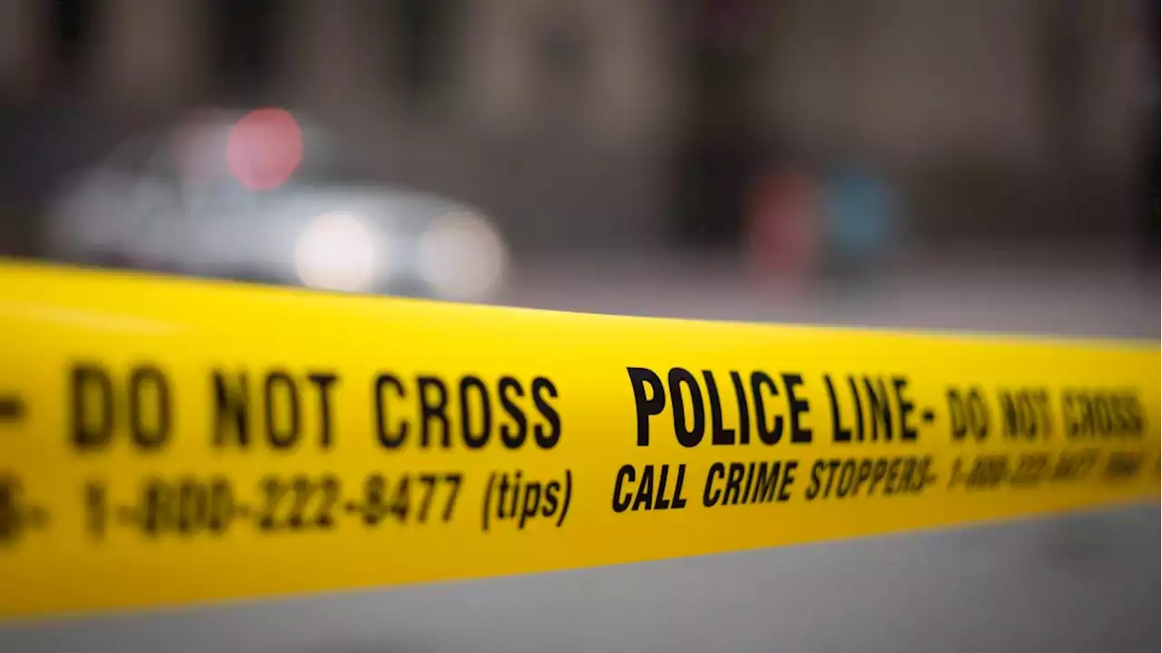 Last year saw highest rate of gang-related homicides in 16 years: Statistics Canada